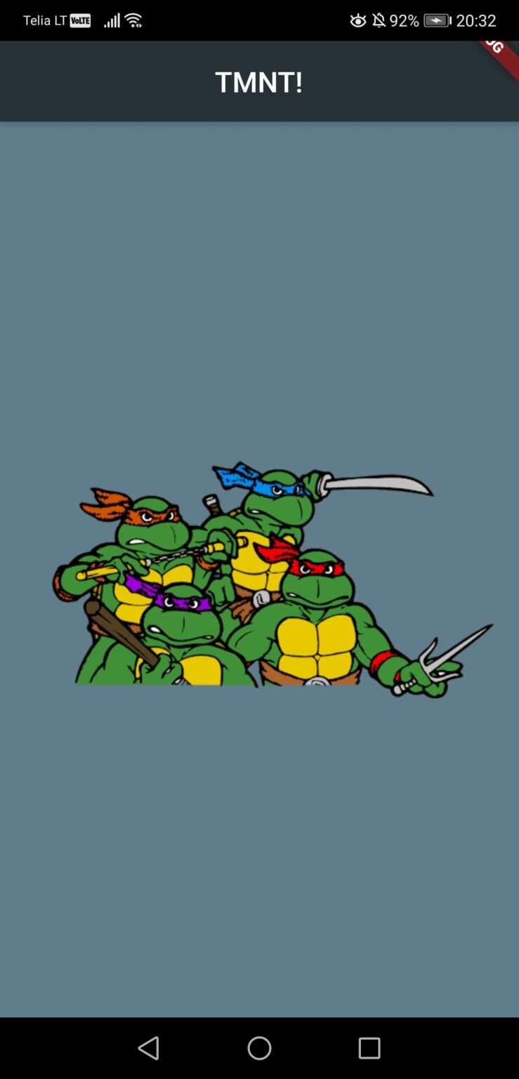 Almost quit Python for Flutter and Dart – lowendplay